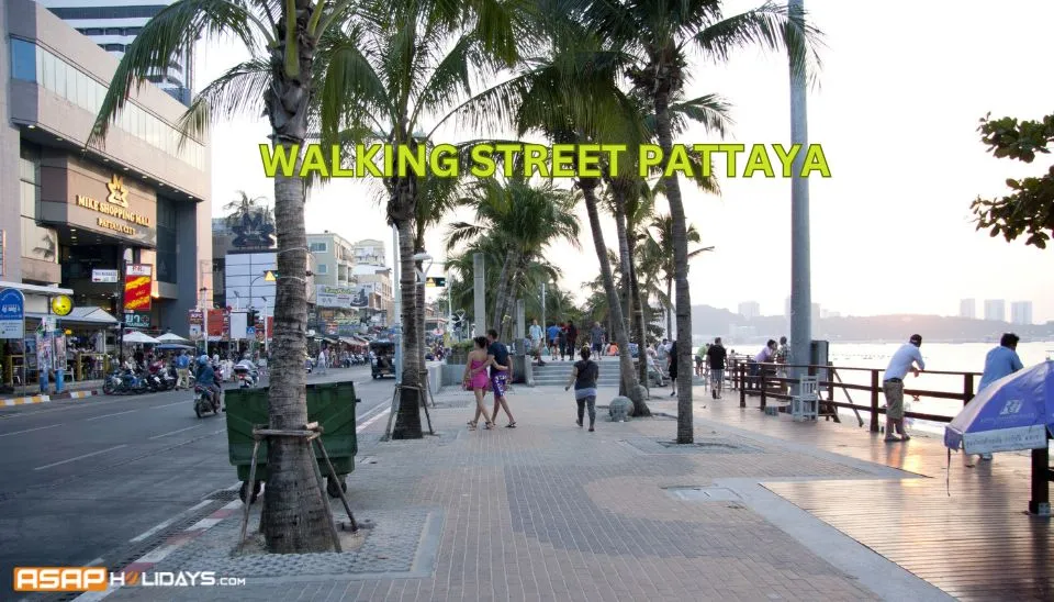 Walking Street Pattaya​
