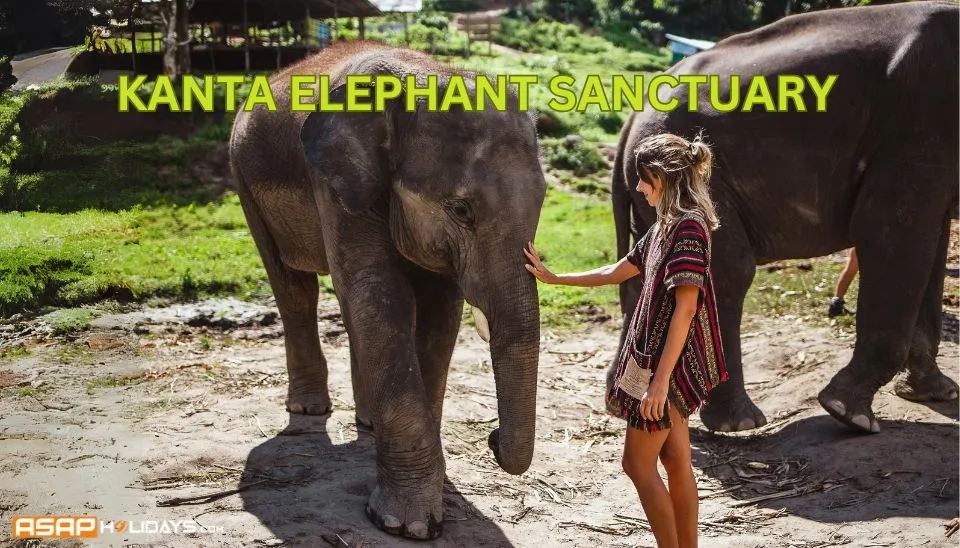 Kanta Elephant Sanctuary