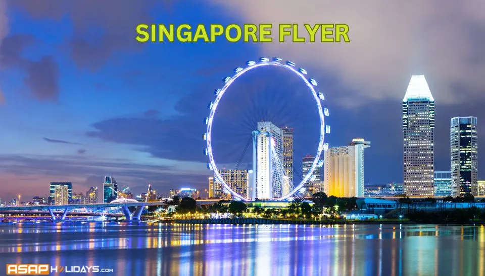 Singapore Flyer​