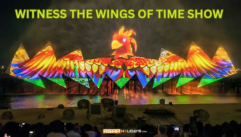 Witness the Wings of Time show