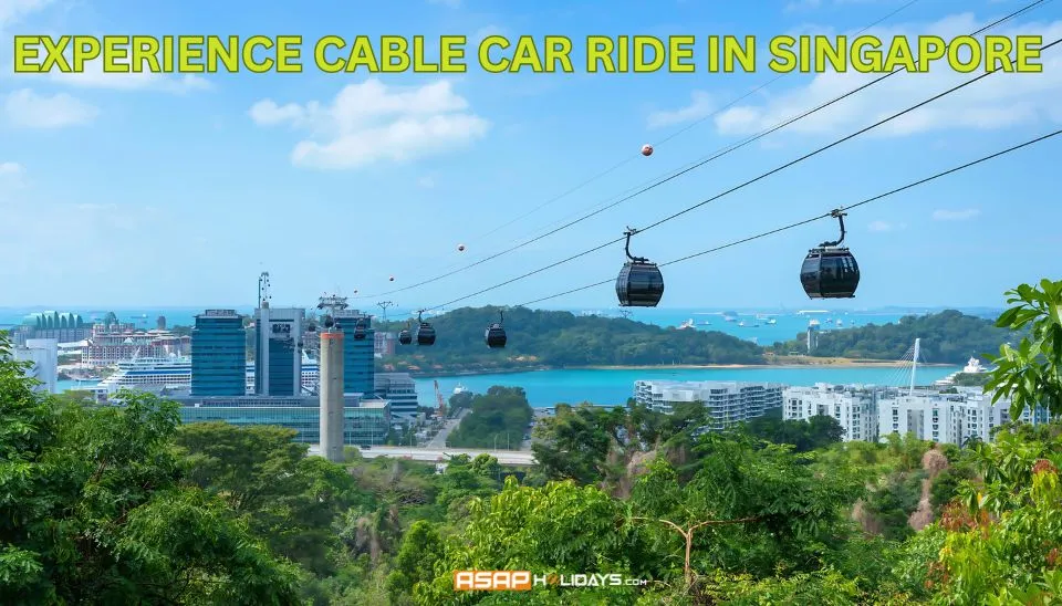 Experience Cable Car Ride in Singapore ​