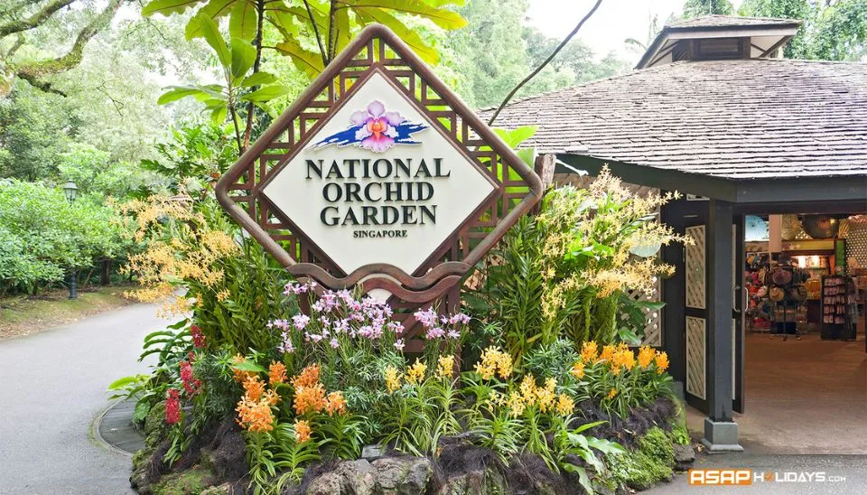 Explore the National Orchid Garden with your family and kids
