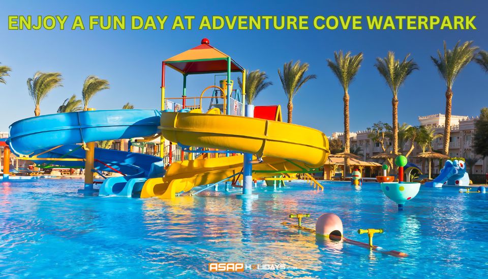 Enjoy a fun day at Adventure Cove Waterpark​