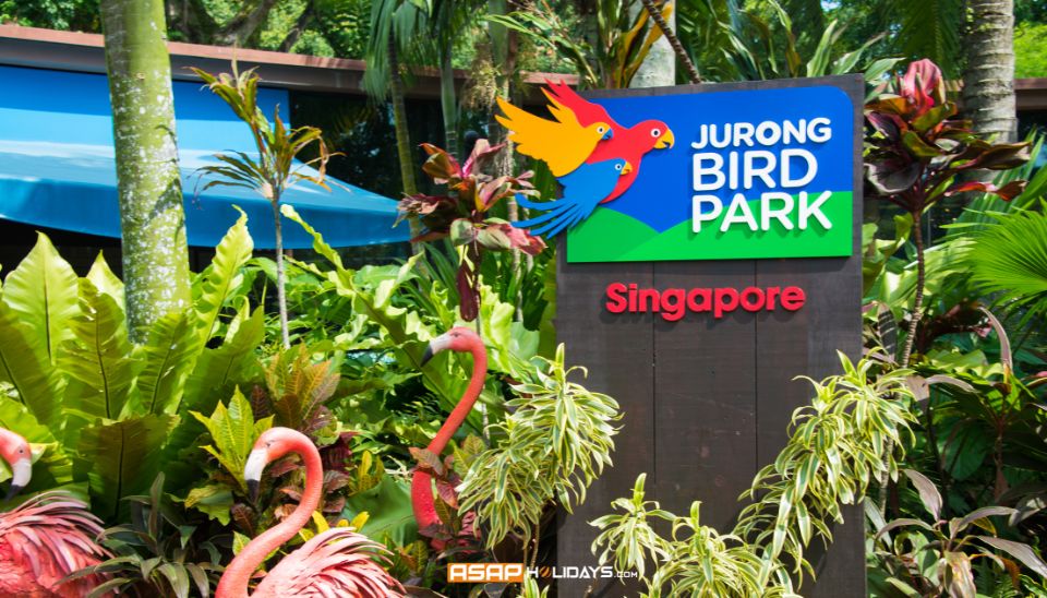 Visit Jurong Bird Park