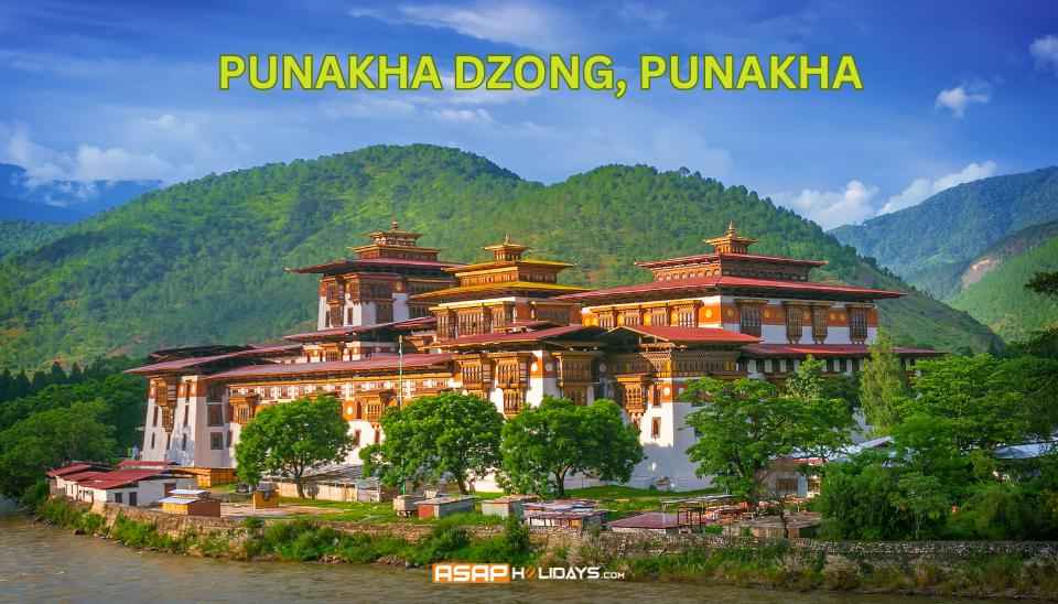 Punakha Dzong, Punakha