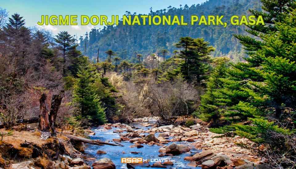 Jigme Dorji National Park, Gasa