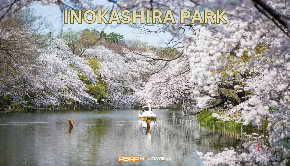 Inokashira Park