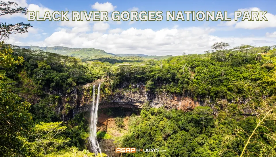 Black River Gorges National Park