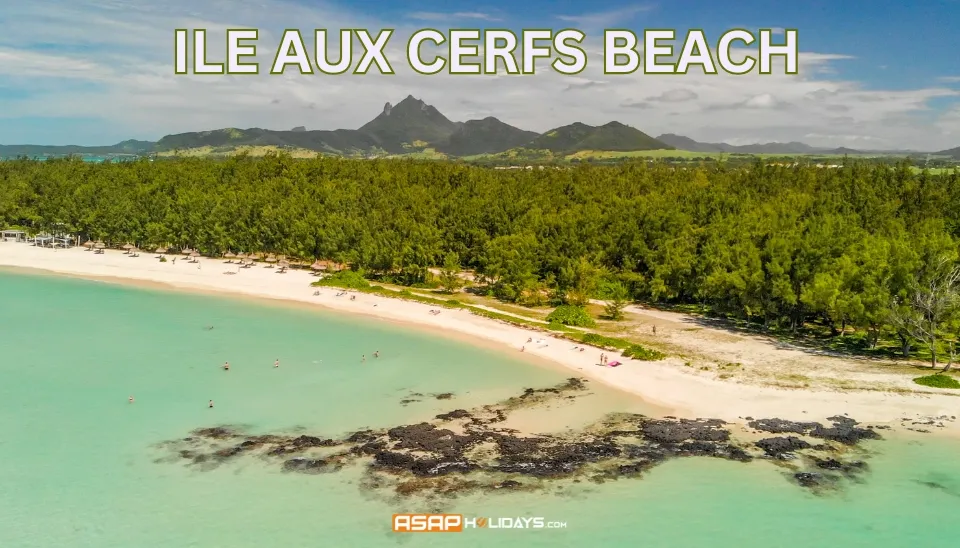 Ile Aux Cerfs Beach