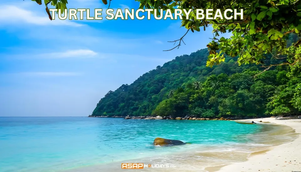 Turtle Sanctuary Beach