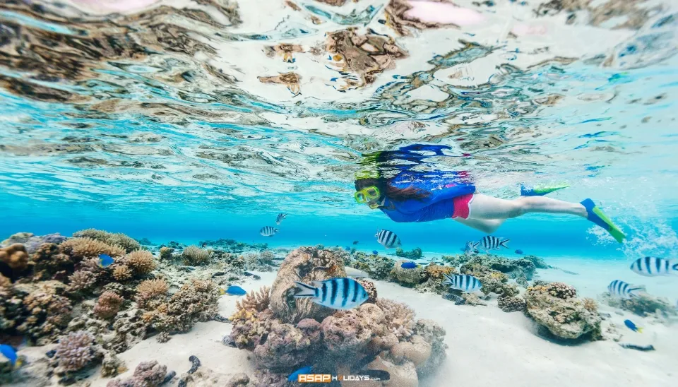 Snorkeling At Agatti Island