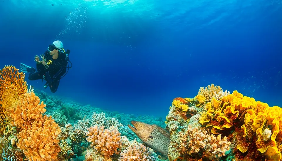 Scuba Diving At Kalpeni Island