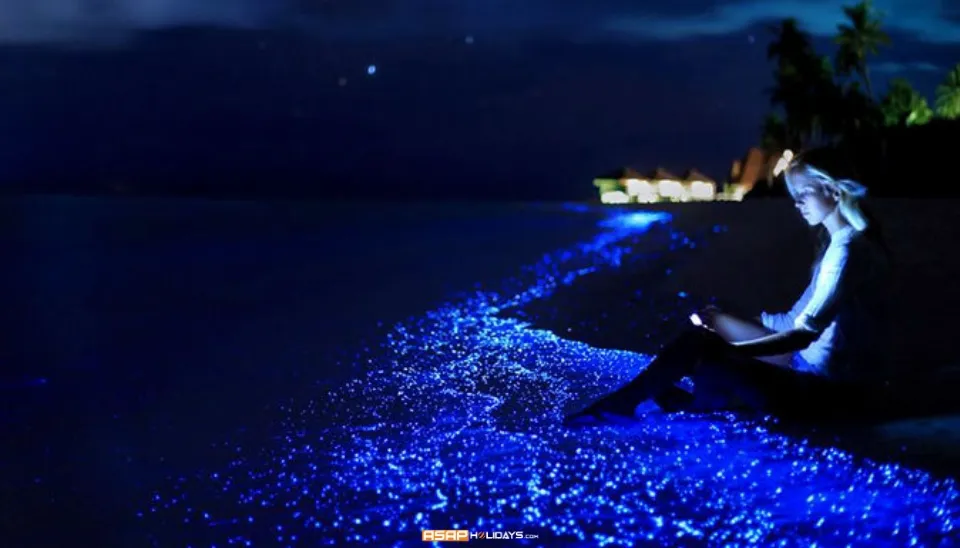 Nightlife at Lakshadweep Islands