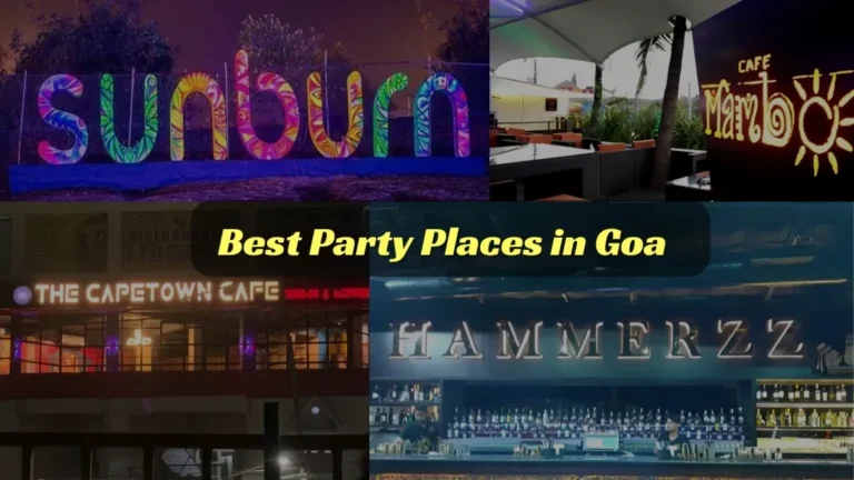 Best Party Places in Goa