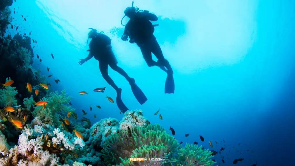 Scuba Diving At Grand Island, 10 Best Things to Do in Goa India