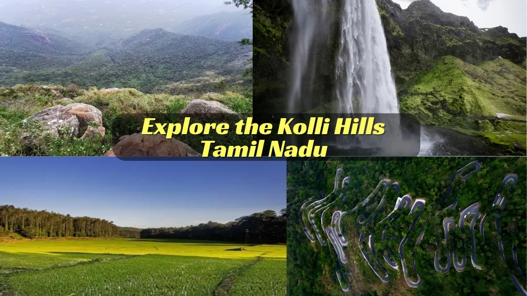 the Kolli Hills Tamil Nadu