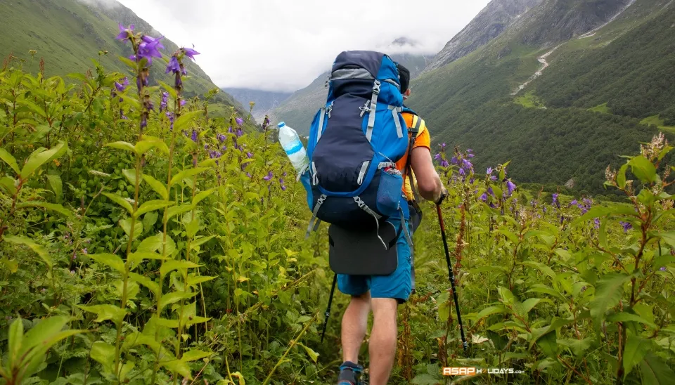 Valley of Flowers Trek, Uttarakhand