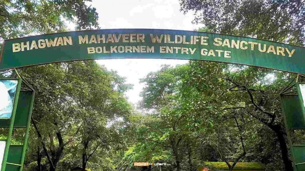 Bhagwan Mahaveer Sanctuary and Mollem National Park