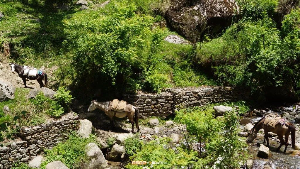 Pulga Village, Kasol