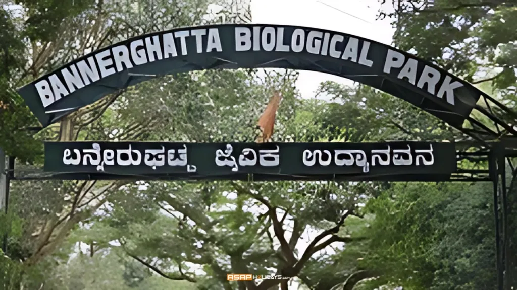 Bannerghatta National Park, Best Places to Visit in Bangalore