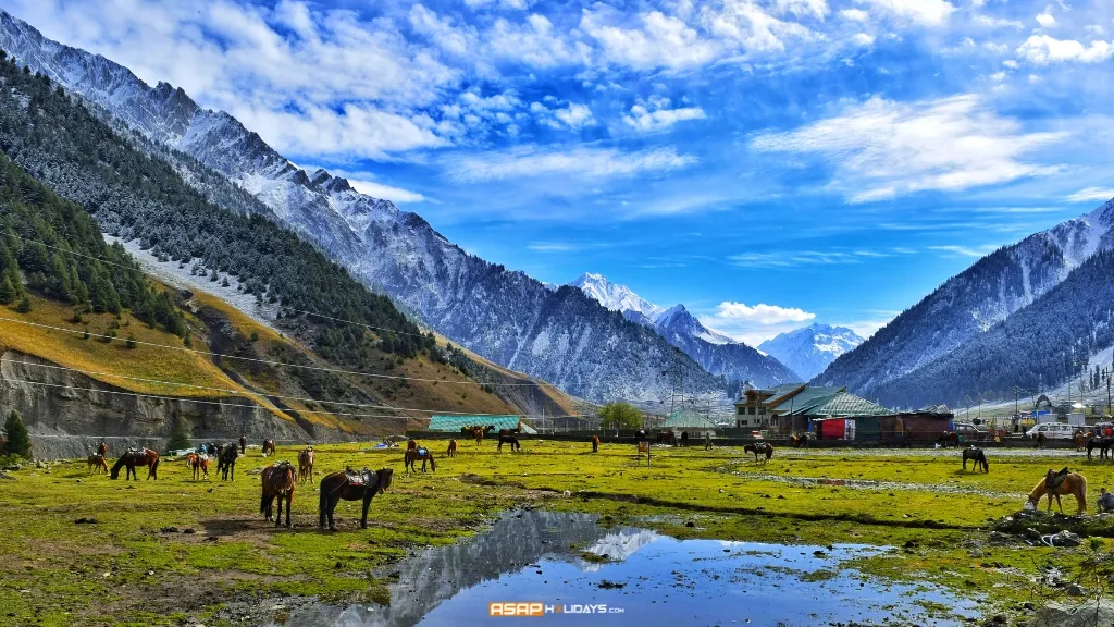 Gurez Valley, Hidden Travel Gems You Must Visit in 2024