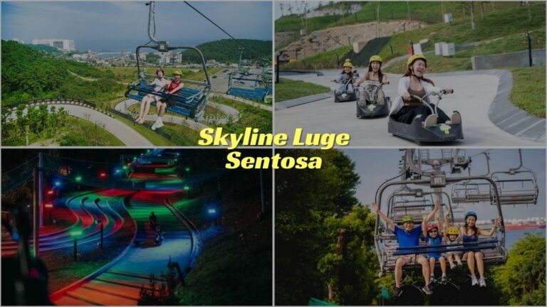 Skyline Luge Sentosa​