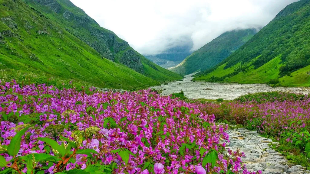 Monsoon Trek to Valley of Flowers, Bucket List Ideas for Adventure Travellers