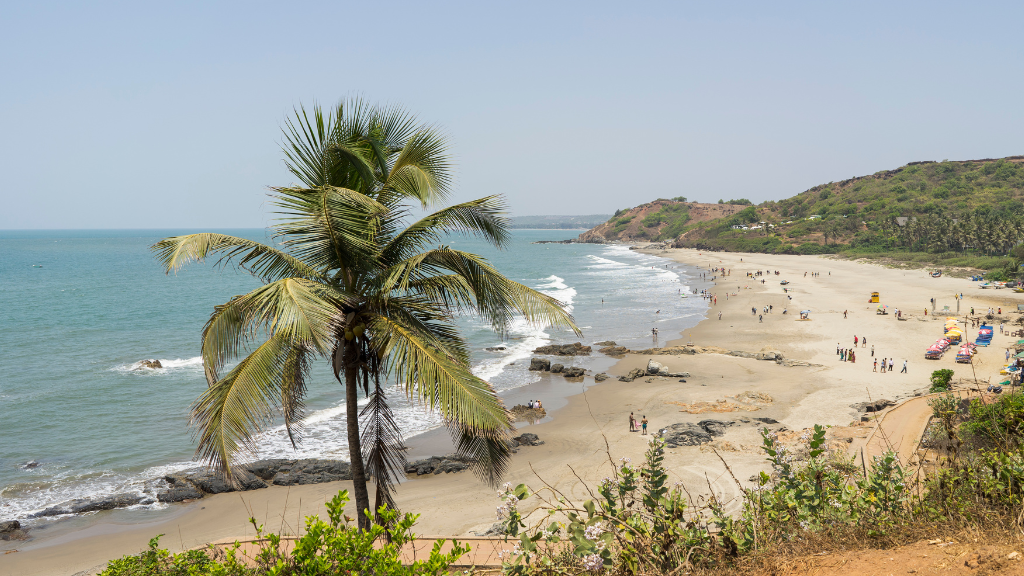 Best Things to do in Anjuna Beach