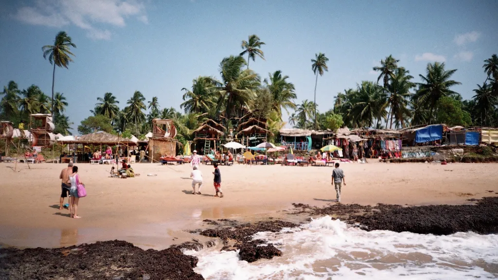 Where to Eat in Anjuna Beach