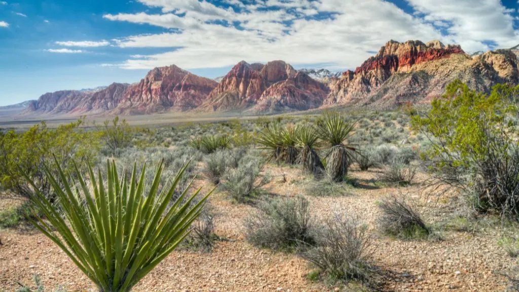 Red Rock Canyon National Conservation Area, places to visit in Las Vegas