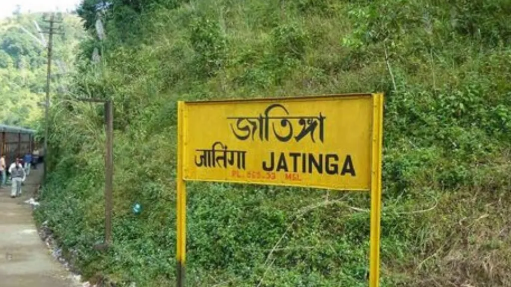 Jatinga, Assam​, Haunted Places In India