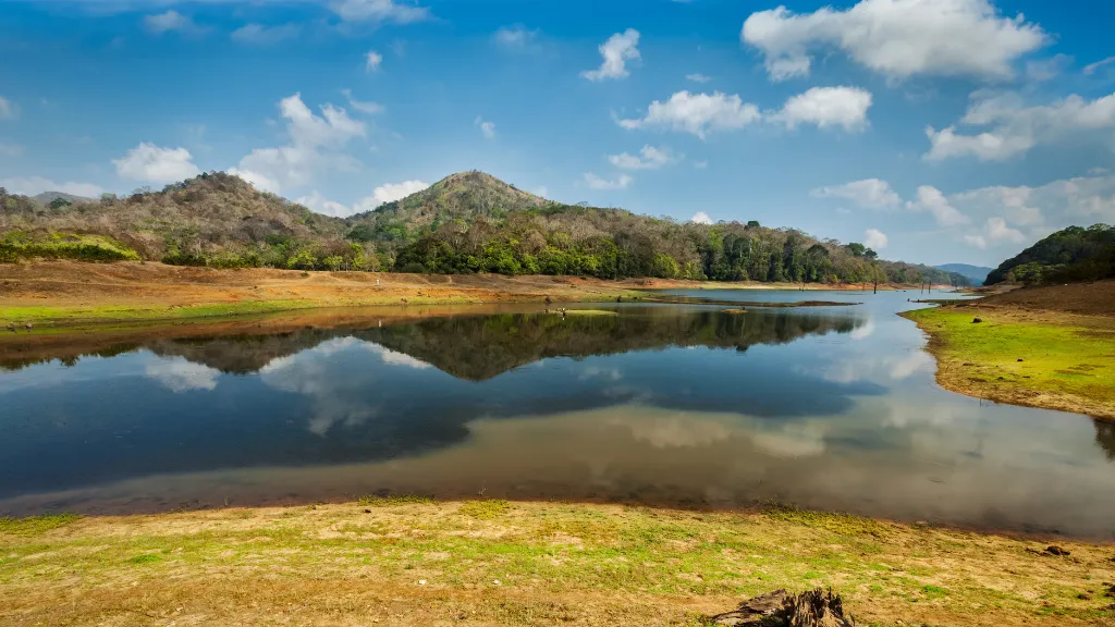 Pobitora Wildlife Sanctuary, Things to Do in Guwahati