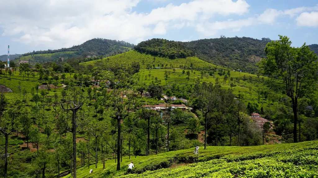 Tiger Hill, best places to visit in Ooty