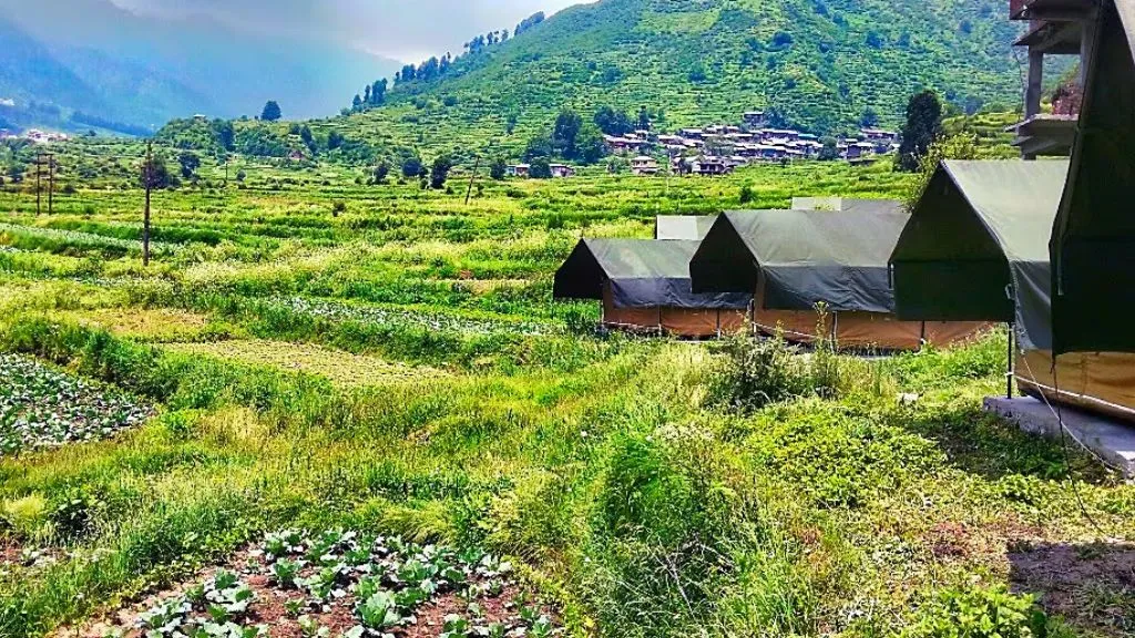 Barot Valley