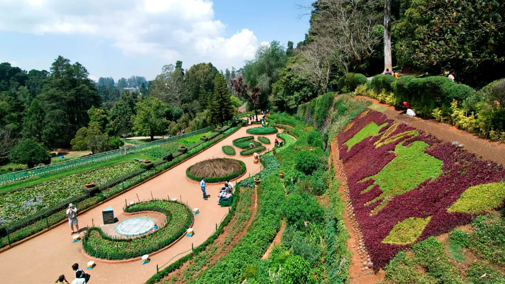 Government Botanical Garden – A Paradise for Nature Lovers, places to visit in ooty