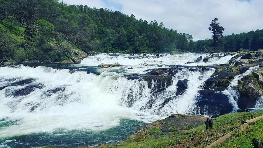 Pykara Lake & Falls – Scenic Escape into Nature, places to visit in ooty, ASAPHolidays