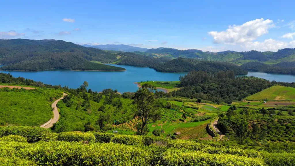 Emerald Lake – A Birdwatcher’s Paradise, places to visit in ooty, ASAPHolidays