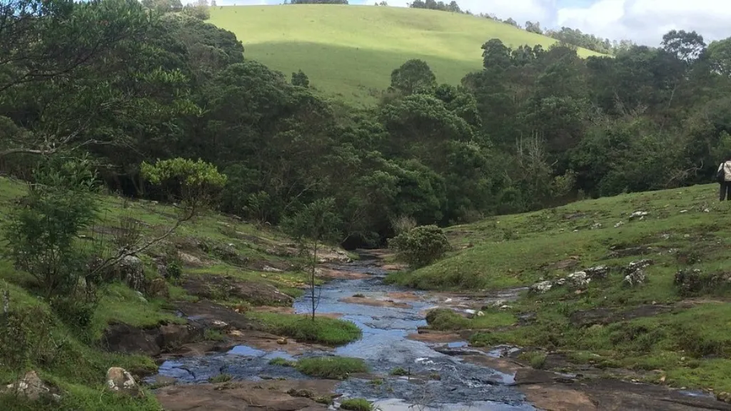 Glenmorgan Tea Estate – A Green Escape, places to visit in ooty, ASAPHolidays