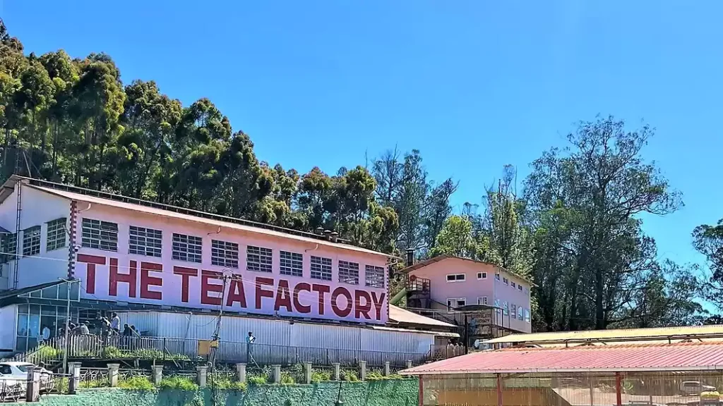 Tea Museum & Factory – Sip the Taste of Nilgiris, places to visit in ooty, ASAPHolidays