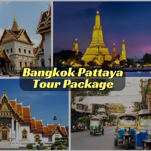 Bangkok Pattaya Tour Package