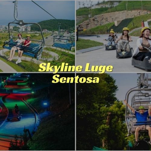 Skyline Luge Sentosa​