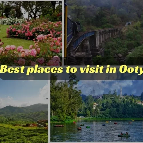 Best places to visit in Ooty