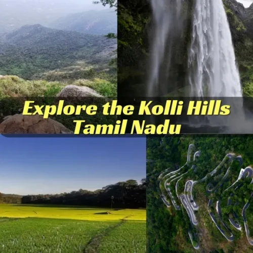 the Kolli Hills Tamil Nadu